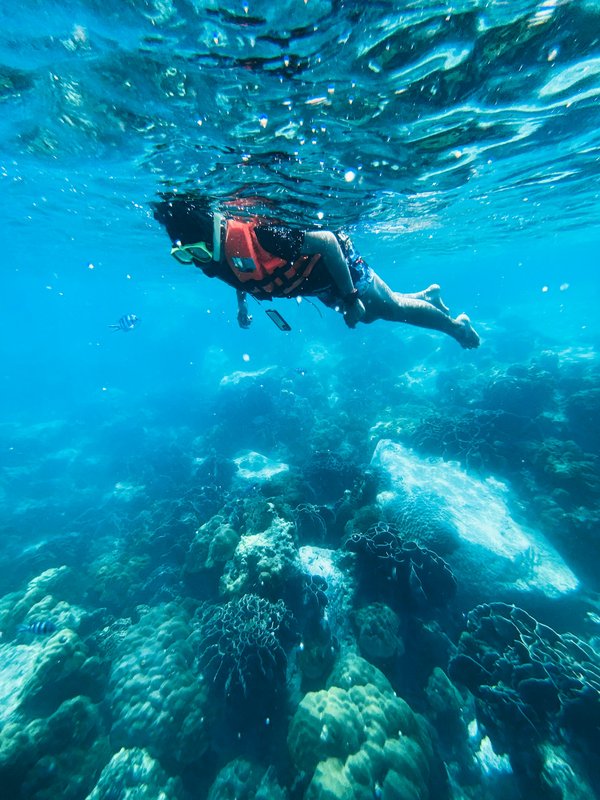 Quels sont les meilleurs spots pour le snorkeling à la Réunion : saisons et équipements nécessaires ?